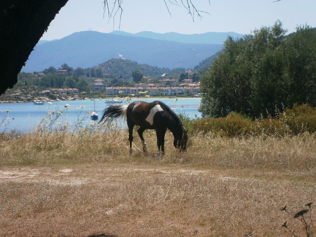 Barbagiannis House Leilighet Órmos Panajías Rom bilde